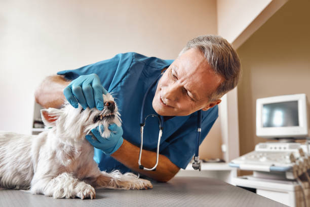 Best Emergency Tooth Extraction in Franklin, NJ